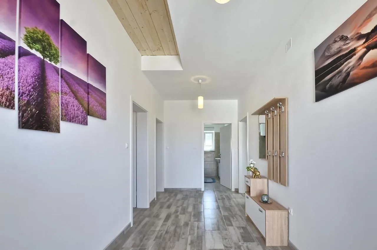 Apartment Villa Alexandria Liznjan Croatia